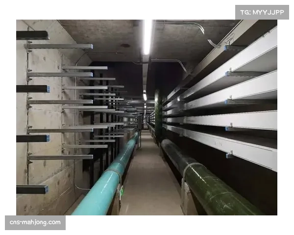 江苏肯帝亚民营制造背景 自主运营展现民企灵活性